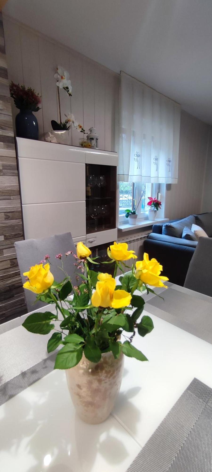 Apartma Soca Oasis Srpenica Экстерьер фото
